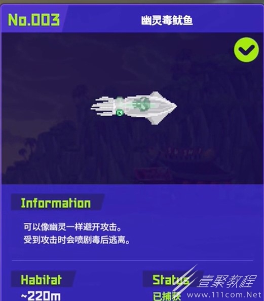 潜水员戴夫幽灵毒鱿鱼怎么捕捉