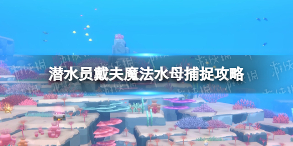 《潜水员戴夫》魔法水母怎么抓？ 魔法水母捕捉攻略