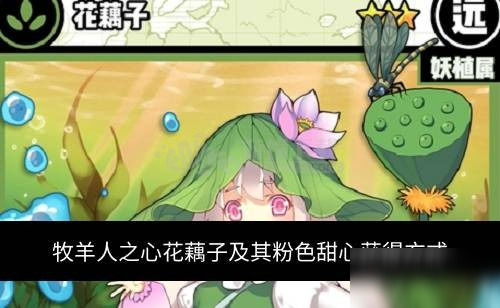 牧羊人之心花藕子怎么获得花藕子的粉色甜心效果分享