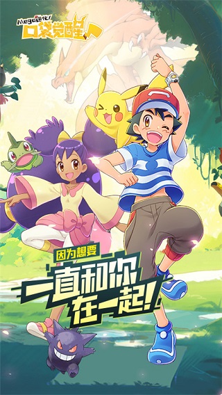 《口袋觉醒》美服无法更新怎么办
