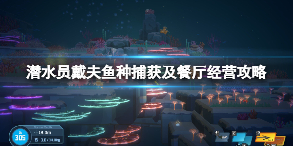 《潜水员戴夫》鱼种捕获及餐厅经营攻略 初中期怎么赚钱？