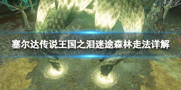 《塞尔达传说王国之泪》迷途森林怎么走？ 迷途森林走法详解