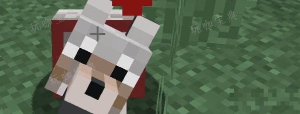 《我的世界》逃逸寄生体第一天攻略