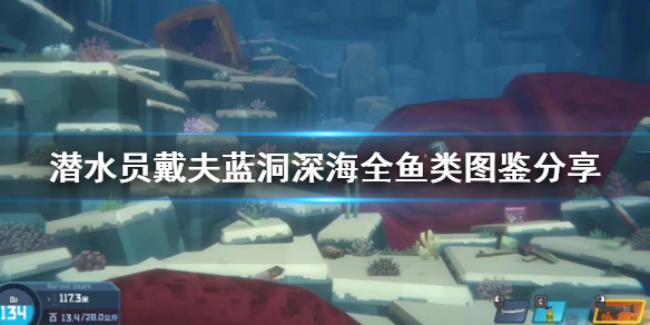 《潜水员戴夫》蓝洞深海全鱼类图鉴分享    有哪些鱼？