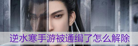 逆水寒手游被通缉了怎么解除