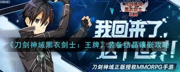 《刀剑神域黑衣剑士王牌》装备结晶如何镶嵌？装备结晶镶嵌攻略