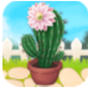 放置植物花园版