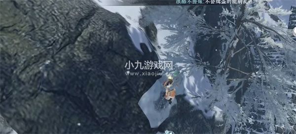 逆水寒松果有什么用
