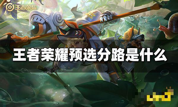 《王者荣耀》预选分路是什么？预选分路玩法分享