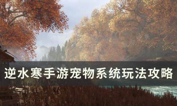 《逆水寒手游》宠物怎么获得？宠物系统玩法推荐