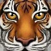 终极野生动物模拟器下载安装