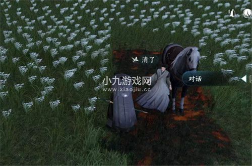 逆水寒手游白马入芦花任务怎么做