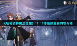 《哈利波特魔法觉醒》11.17体验服更新内容介绍