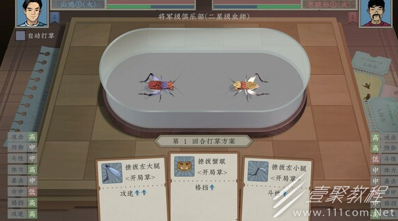 沉默的蟋蟀八神虫王培养方法