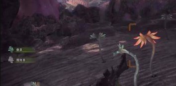 《怪物猎人世界》摇曳鳗头套获得方法介绍