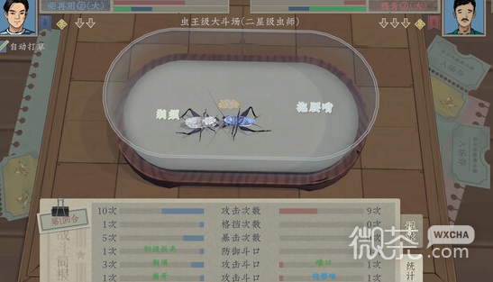 沉默的蟋蟀虫友培养大哥方法攻略
