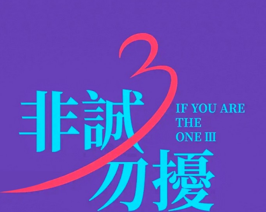 《非诚勿扰3》电影讲的什么 《非诚勿扰3》电影剧情介绍