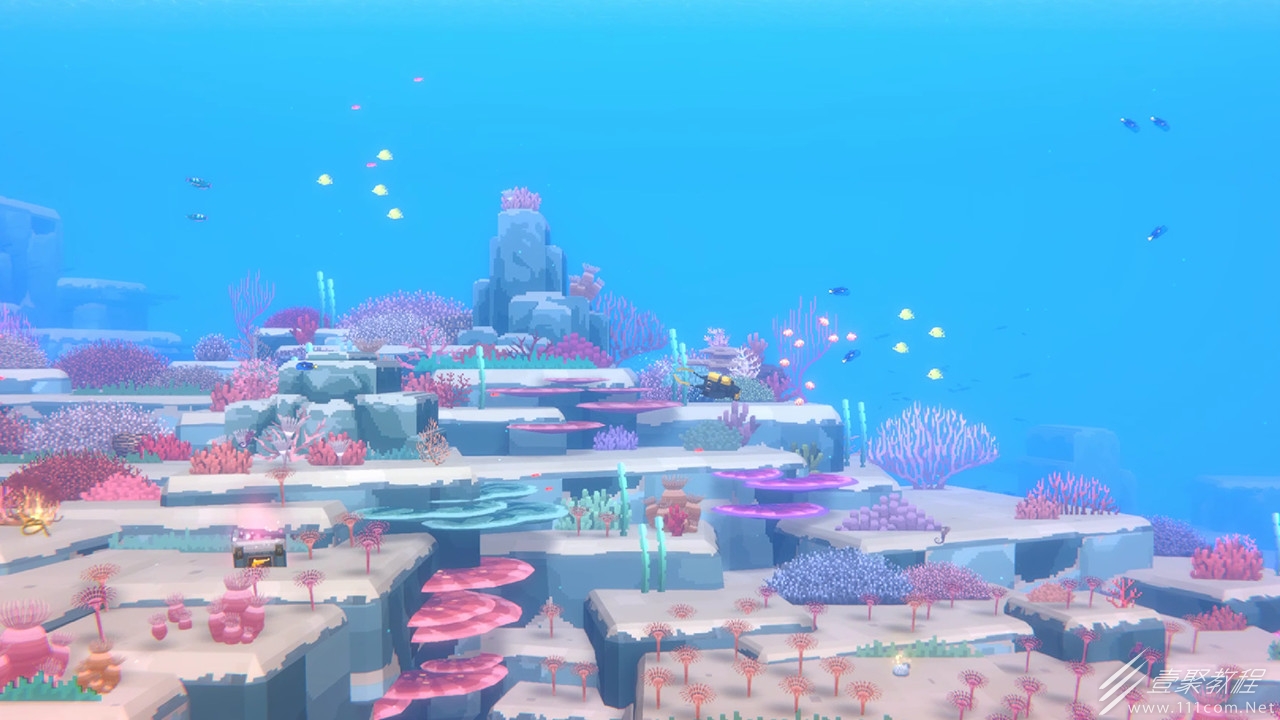 潜水员戴夫3星叶海龙捕捉攻略