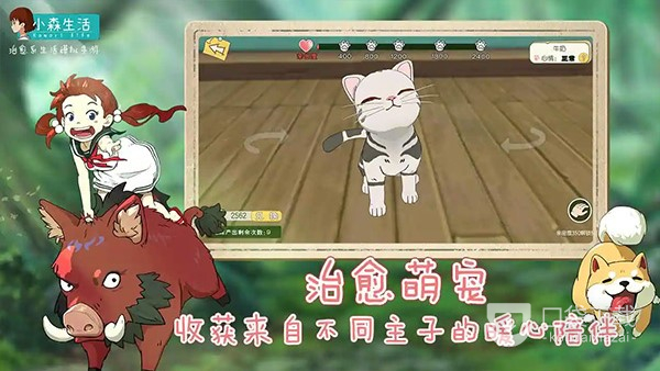 《小森生活》亚服更新失败是什么原因