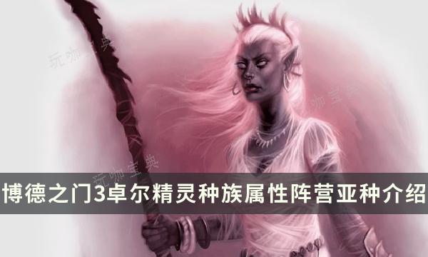 《博德之门3》卓尔精灵种族特性指南 卓尔精灵种族属性阵营亚种介绍