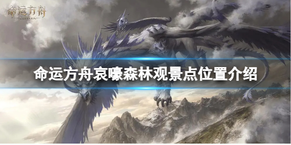 《命运方舟》哀嚎森林观景点在哪？哀嚎森林观景点位置介绍