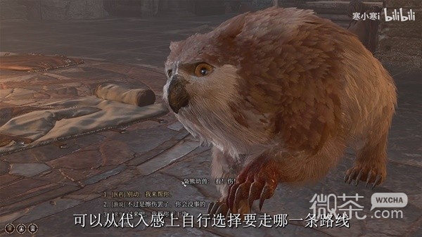 博德之门3枭熊幼兽获取教程攻略