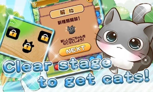 猫的生活