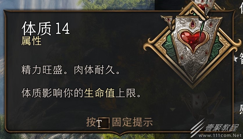 博德之门3体质属性解析