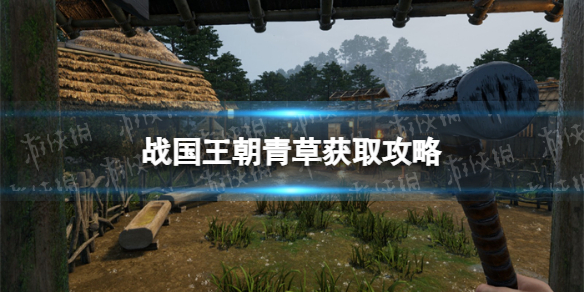 《战国王朝》青草在哪获得？ 青草获取攻略
