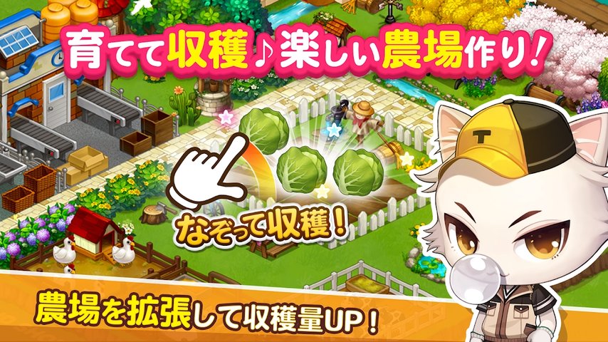 猫咪当店长完整版
