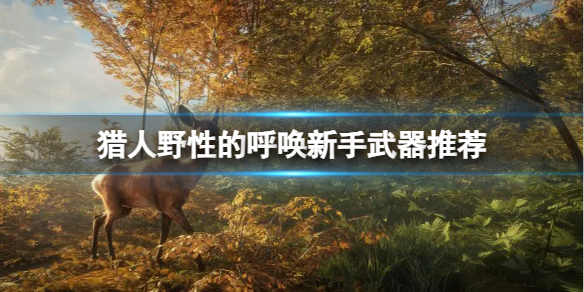 《猎人野性的呼唤》新手推荐使用什么武器？新手武器推荐