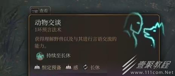 博德之门3混沌蛙奖励获得方法