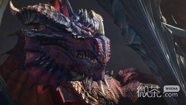 博德之门3野蛮人高伤BD一览