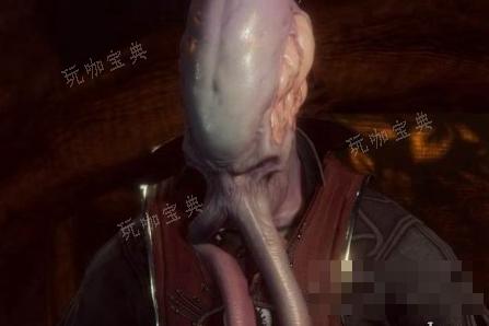 《博德之门3》奥米伦位置