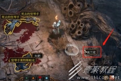 博德之门3夜兰花获得方法