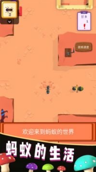 蚂蚁的生活2023