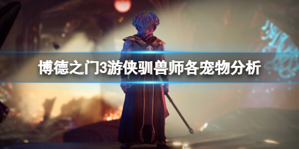 《博德之门3》游侠驯兽师带什么宠物？游侠驯兽师各宠物分析