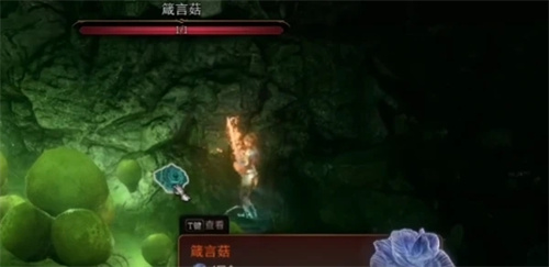 博德之门3箴言菇只有一个吗详情