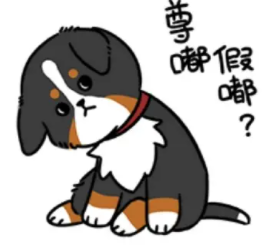 你说爱我尊嘟假嘟怎么回答 尊嘟假嘟回复介绍