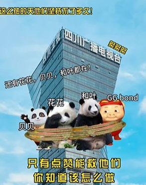 解救ggbond什么意思 ggbond原图分享