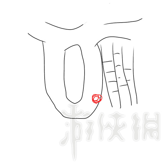 《博德之门3》储物的小红书位置一览