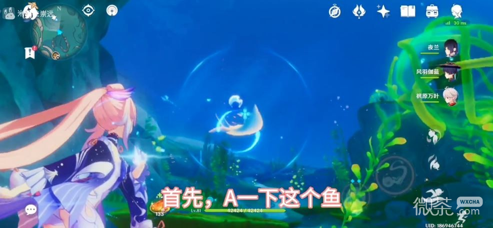 原神原海海草坚韧的生命力打破方法攻略