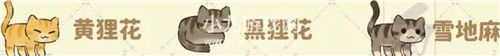 桃源深处有人家猫咪喜好是什么