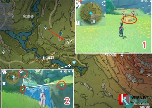 原神劫波莲采集路线图 采集位置一览
