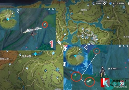 原神劫波莲采集路线图 采集位置一览