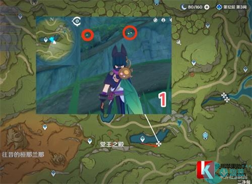 原神劫波莲采集路线图 采集位置一览