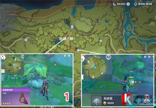 原神劫波莲采集路线图 采集位置一览
