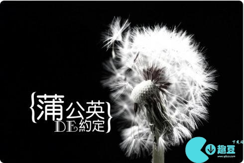 光遇蒲公英的约定琴谱