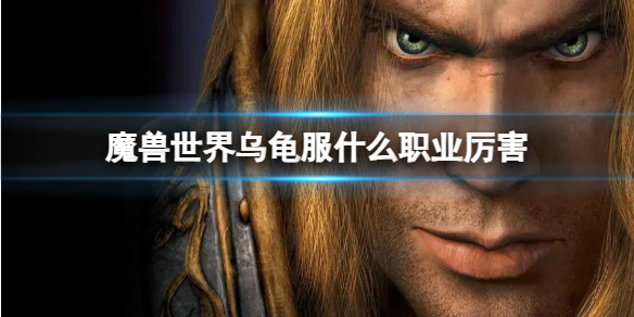 《魔兽世界》乌龟服职业推荐