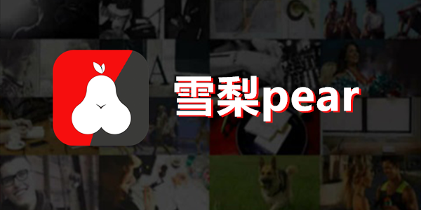 pear雪梨vip激活码邀请码分享最新2023